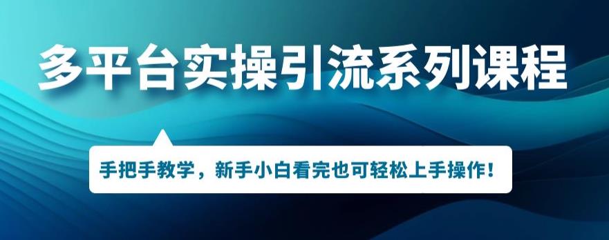 多平台引流实操系列课程，新手小白看完也可轻松上手进行引流操作-瀚海资源库