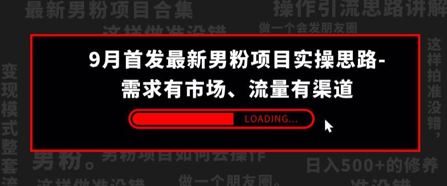 9月首发最新男粉项目实操思路-需求有市场，流量有渠道【揭秘】-瀚海资源库