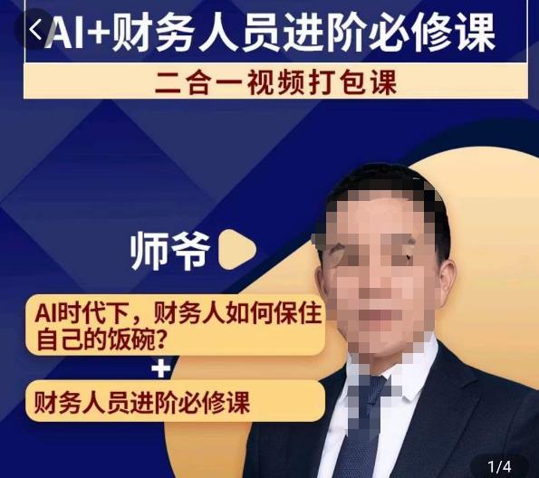 AI+财务人员进阶必修课二合一视频打包课，财务人员进阶必修课-瀚海资源库
