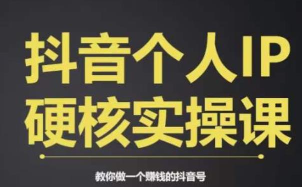 个人IP创富系统实战课，商业定位，流量打造，短视频变现，教你做个赚钱的抖音号-瀚海资源库