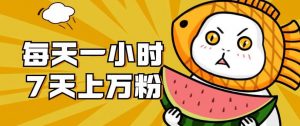 暴力涨粉项目：每天一小时，七天上万粉【揭秘】-瀚海资源库
