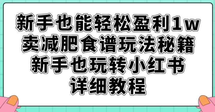 新手也能轻松盈利1w，卖减肥食谱玩法秘籍，新手也玩转小红书详细教程【揭秘】-瀚海资源库