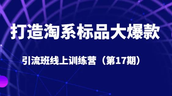 打造淘系标品大爆款引流班线上训练营（第17期）5天直播授课-瀚海资源库
