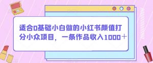 适合0基础小白做的小红书颜值打分小众项目，一条作品收入1000＋【揭秘】-瀚海资源库