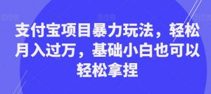 支付宝项目暴力玩法，轻松月入过万，基础小白也可以轻松拿捏【揭秘】-瀚海资源库