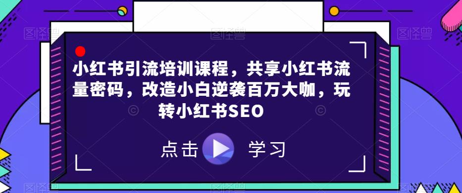 小红书引流培训课程，共享小红书流量密码，改造小白逆袭百万大咖，玩转小红书SEO-瀚海资源库