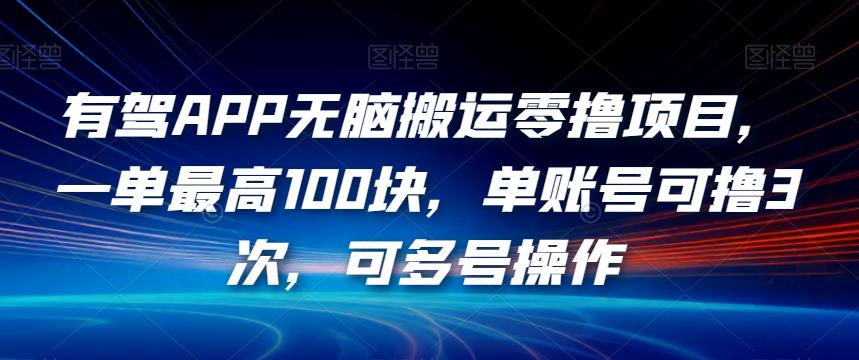 有驾APP无脑搬运零撸项目，一单最高100块，单账号可撸3次，可多号操作【揭秘】-瀚海资源库