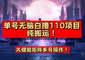 9月全网首发，单号直接白撸110！可多号操作，无脑搬运复制粘贴【揭秘】-瀚海资源库