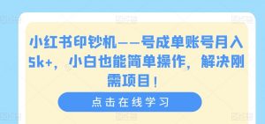 小红书印钞机——号成单账号月入5k+，小白也能简单操作，解决刚需项目【揭秘】-瀚海资源库
