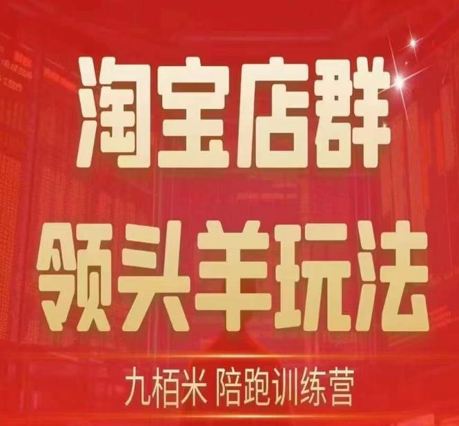 九栢米-淘宝店群领头羊玩法，教你整个淘宝店群领头羊玩法以及精细化/终极蓝海/尾销等内容-瀚海资源库