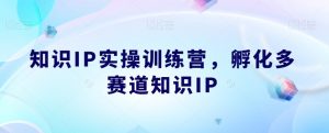 知识IP实操训练营，​孵化多赛道知识IP-瀚海资源库