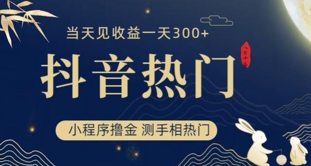 抖音最新小程序撸金，测手相上热门，当天见收益一小时变现300+【揭秘】-瀚海资源库