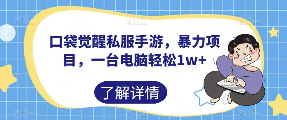 口袋觉醒私服手游，暴力项目，一台电脑轻松1w+【揭秘】-瀚海资源库
