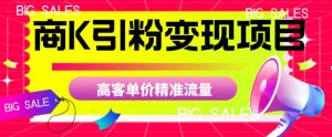 商K引粉变现项目，高客单价精准流量【揭秘】-瀚海资源库