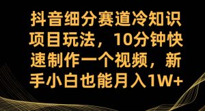 抖音细分赛道冷知识项目玩法，10分钟快速制作一个视频，新手小白也能月入1W+【揭秘】-瀚海资源库