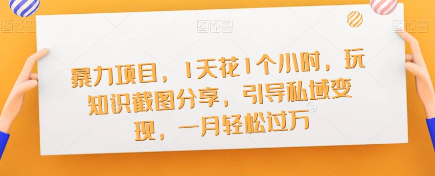 暴力项目，1天花1个小时，玩知识截图分享，引导私域变现，一月轻松过万【截图】-瀚海资源库