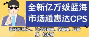 全新亿万级蓝海市场通惠达cps，最强管道收入，让你睡着赚、躺着赚、玩着赚、轻松赚【揭秘】-瀚海资源库