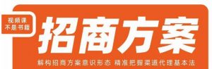 王昕招商方案，解构招商方案意识形态，精准把握渠道代理基本法-瀚海资源库