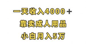一天收入4000+,靠卖成人用品,小白轻松月入5万【揭秘】-瀚海资源库