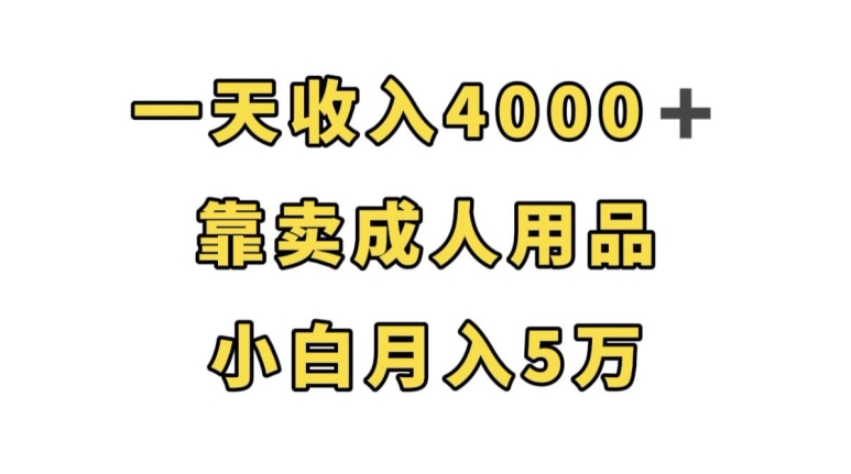 一天收入4000+，靠卖成人用品，小白轻松月入5万【揭秘】-瀚海资源库