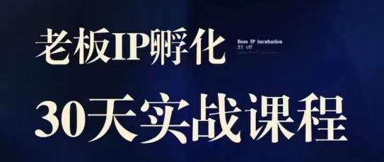 诸葛·2023老板IP实战课，实体同城引流获客，IP孵化必听-瀚海资源库