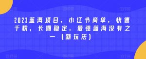 2023蓝海项目,小红书商单,快速千粉,长期稳定,最强蓝海没有之一(新玩法)-瀚海资源库