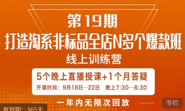 打造淘系非标全店N多个爆款线上课，​5天直播课-瀚海资源库