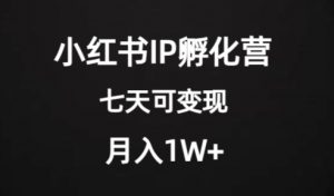 价值2000+的小红书IP孵化营项目,超级大蓝海,七天即可开始变现,稳定月入1W+-瀚海资源库