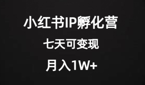 价值2000+的小红书IP孵化营项目，超级大蓝海，七天即可开始变现，稳定月入1W+-瀚海资源库
