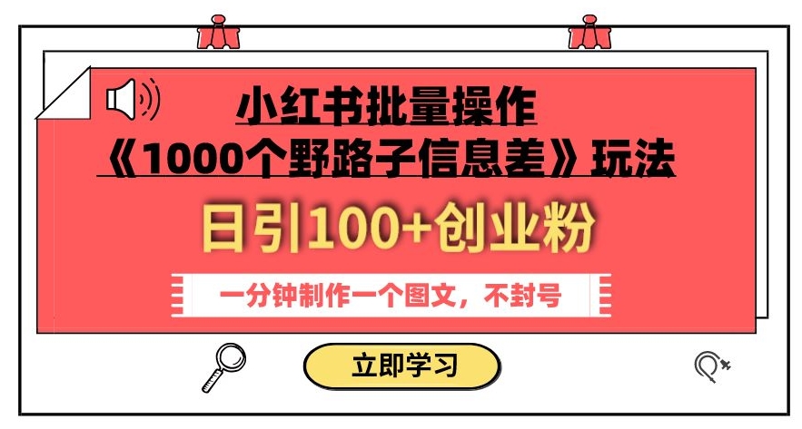 小红书批量操作《1000个野路子信息差》玩法，一分钟制作一个图文，不封号，日引100+创业粉-瀚海资源库