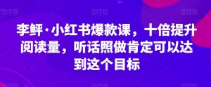 李鲆·小红书爆款课，十倍提升阅读量，听话照做肯定可以达到这个目标-瀚海资源库