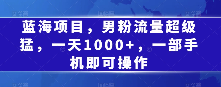 蓝海项目，男粉流量超级猛，一天1000+，一部手机即可操作【揭秘】-瀚海资源库