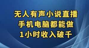 抖音无人有声小说直播，手机电脑都能做，1小时收入破千【揭秘】-瀚海资源库