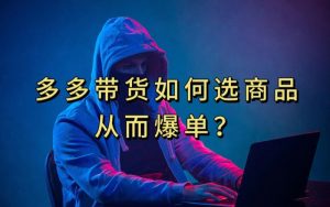 多多视频带货选什么商品链接才能爆单，10分钟教会你，爆单不是浮云【揭秘】-瀚海资源库