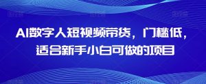 AI数字人短视频带货,门槛低,适合新手小白可做的项目-瀚海资源库