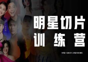 王子·明星切片线上训练营(2023),和明星一起拿红利,让明星为我们赚钱-瀚海资源库