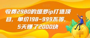 收费2980的塔罗ip打造项目,单价198-999不等,5天赚了2000块【揭秘】-瀚海资源库