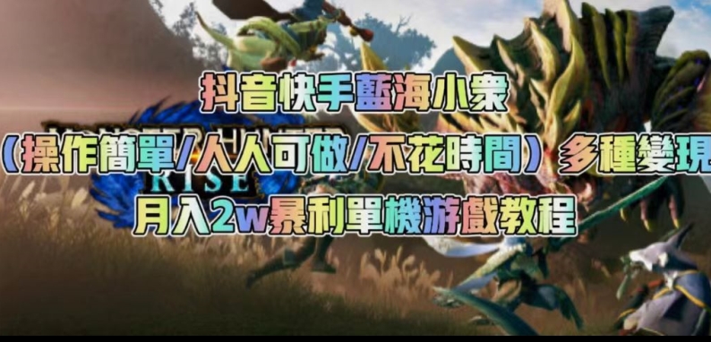 抖音快手蓝海小众（操作简单人人可做不花时间）多种变现月入2w＋暴利单机游戏教程-瀚海资源库