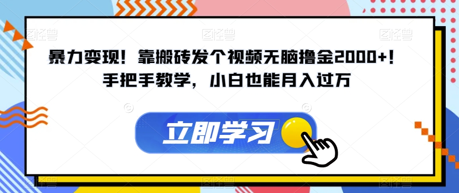 暴力变现！靠搬砖发个视频无脑撸金2000+！手把手教学，小白也能月入过万【揭秘】-瀚海资源库