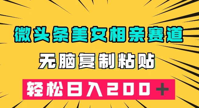 微头条冷门美女相亲赛道，无脑复制粘贴，轻松日入200＋【揭秘】-瀚海资源库