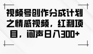 视频号创作分成计划之情感视频，红利项目，闷声日入300+-瀚海资源库
