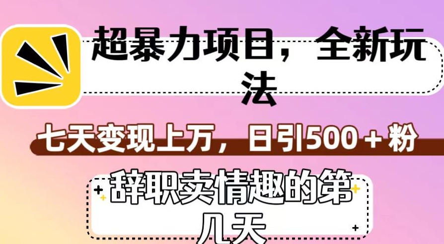 超暴利项目，全新玩法（辞职卖情趣的第几天），七天变现上万，日引500+粉【揭秘】-瀚海资源库