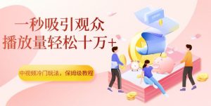 中视频冷门玩法，一秒吸引观众，播放量轻松十万+，保姆级教程【揭秘】-瀚海资源库