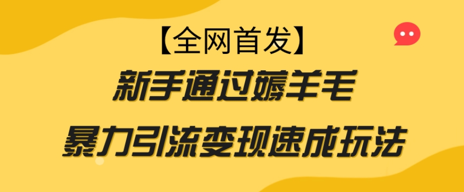 【全网首发】新手通过薅羊毛暴力引流变现速成玩法-瀚海资源库