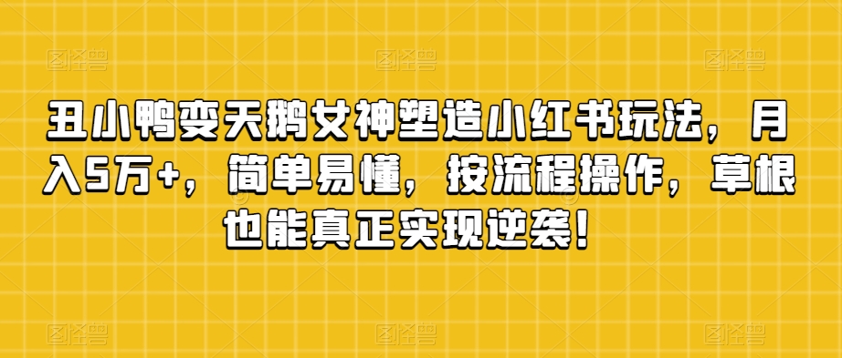 丑小鸭变天鹅女神塑造小红书玩法，月入5万+，简单易懂，按流程操作，草根也能真正实现逆袭！-瀚海资源库