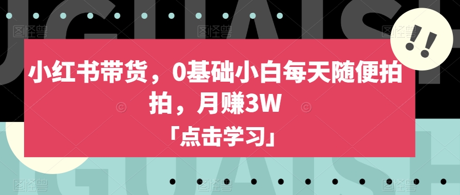 小红书带货，0基础小白每天随便拍拍，月赚3W【揭秘】-瀚海资源库