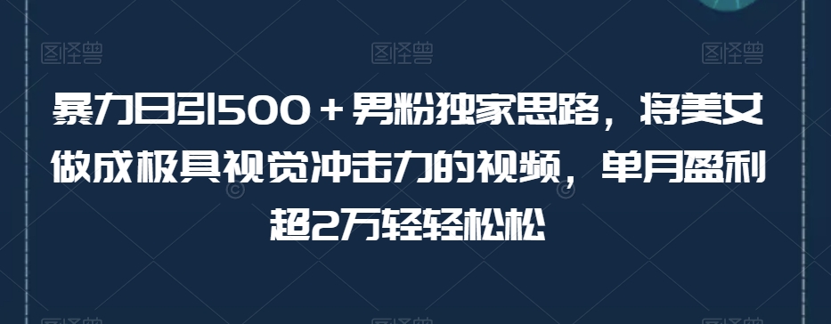 暴力日引500＋男粉独家思路，将美女做成极具视觉冲击力的视频，单月盈利超2万轻轻松松-瀚海资源库