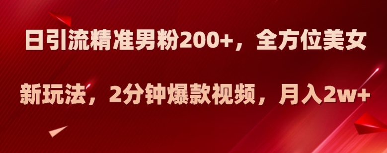 日引流精准男粉200+，全方位美女新玩法，2分钟爆款视频，月入2w+【揭秘】-瀚海资源库