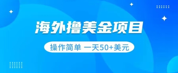 撸美金项目无门槛操作简单小白一天50+美刀-瀚海资源库