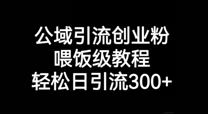 公域引流创业粉，喂饭级教程，轻松日引流300+【揭秘】-瀚海资源库